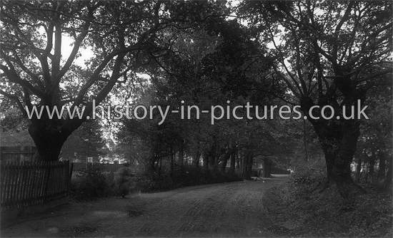Roebuck lane, Buckhurst Hill, Essex. c.1920's